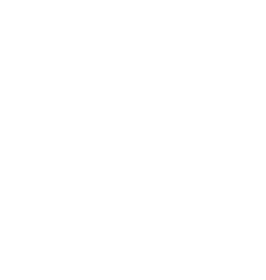 25 лет